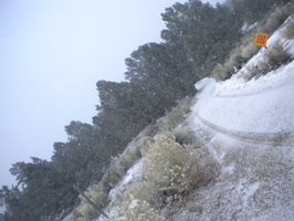 DSCN9530.JPG